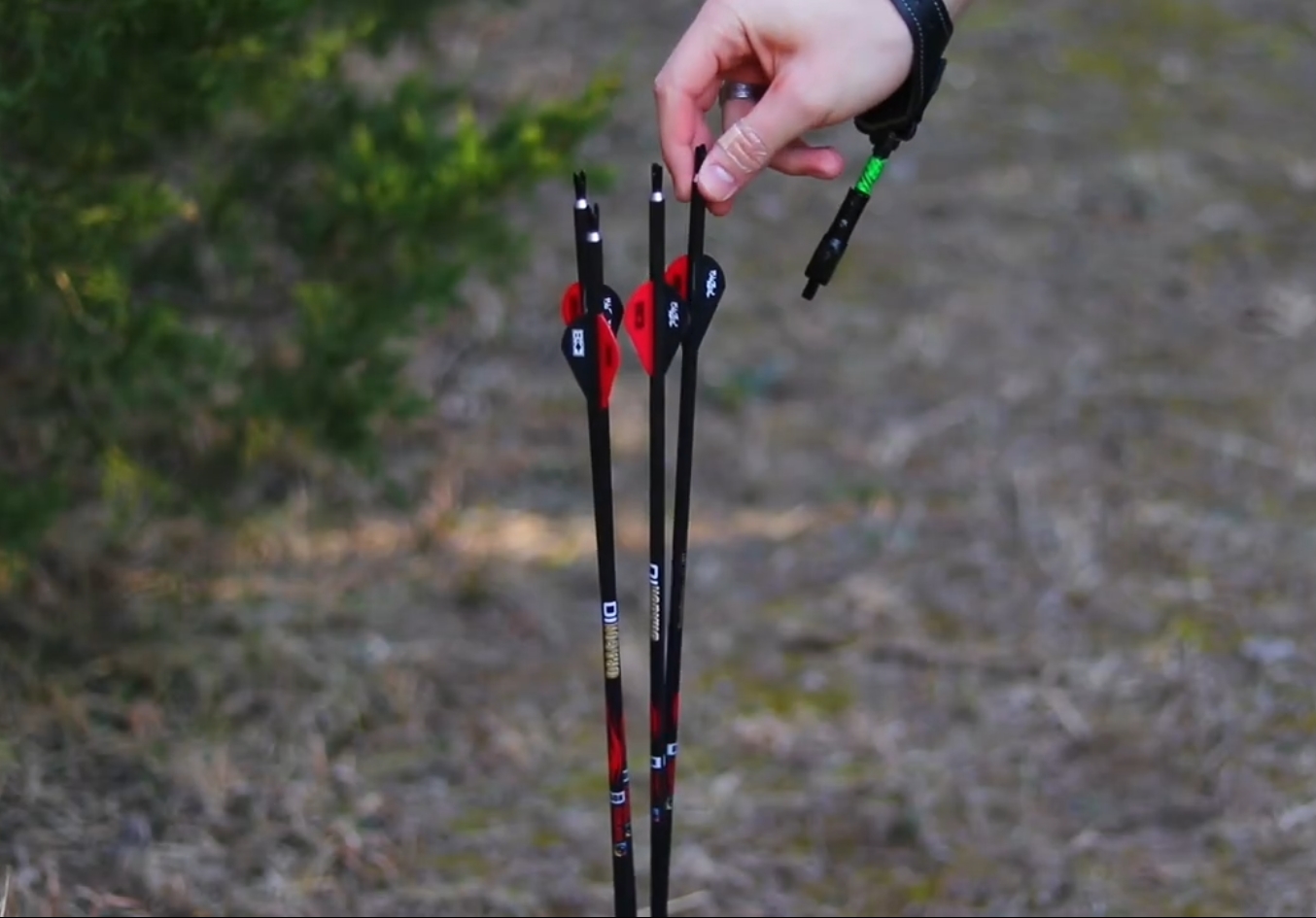 Dragon 10 Compound Bow Arrows Review